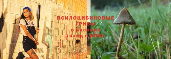 крисы Аркадак