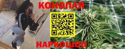 ПСИЛОЦИБИНОВЫЕ ГРИБЫ Аргун