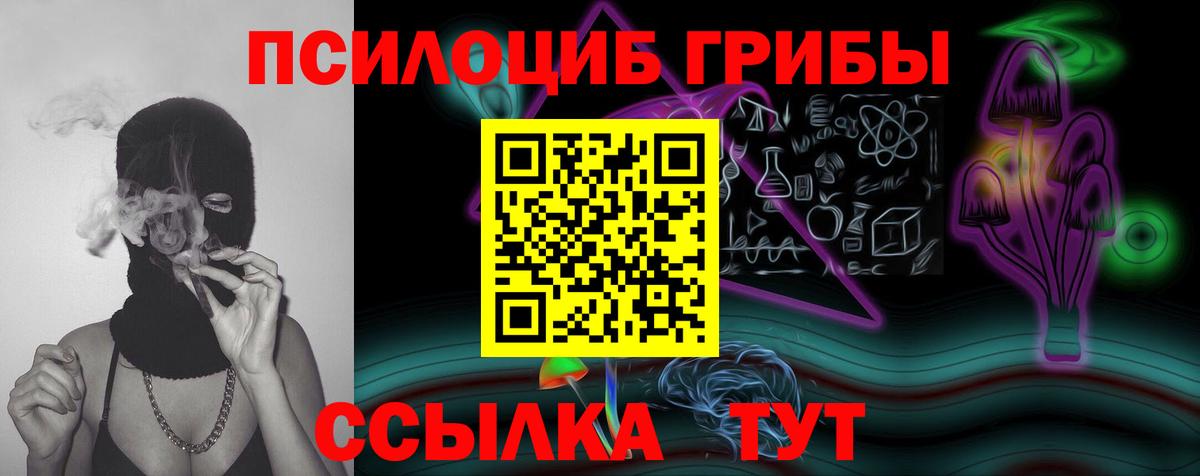 Псилоцибиновые грибы прущие грибы Ахтубинск