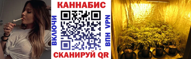 где найти наркотики  Ахтубинск  Бошки марихуана Bruce Banner 